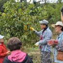 김두용농장 이미지