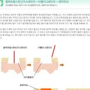 ★여드름 흉터 복합시술 이라고 하네요~★한번 읽어 보세요~수술비용도알아봤어요~ 이미지