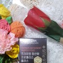 뉴트리디언