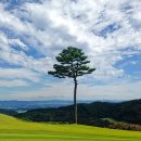 광장회원권충청