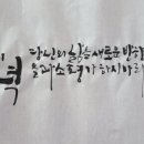 라움캘리
