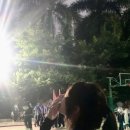 41190-01-07-360 | 170cm 이상은 보지마라.. 키작남 느좋 코디 5가지 추천해줄게요!