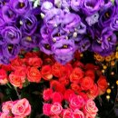 청천농장 이미지