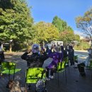 실버인지지도사 이미지