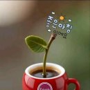 간추린 뉴스 이미지