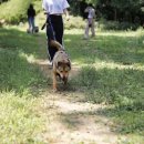 팅커벨하우스 이미지