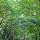 장태산 몽블랑 이미지