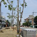 원종2동 행정복지센터 이미지