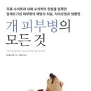 동물병원닥터스 이미지