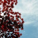 서울청파초등학교 이미지