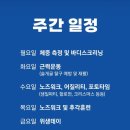 광주 애견유치원 애견호텔 플레이멍 이미지
