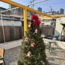 경기도 수원시 권선구 구운중로32번길 36 (구운동) | 고색동 맛집 제주감성 카페 카페물레! 다녀온 후기!