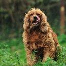 다비농장 이미지