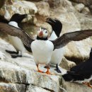 총각손맛 이미지