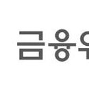 디에스티 이미지