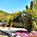 대구수목원 이미지