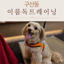 이룸독트레이닝 네이버블로그