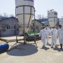 화성양돈 이미지