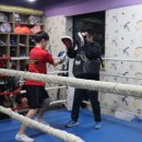 성호복싱클럽 이미지