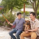 경산시청 이미지