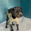 유가파출소 이미지