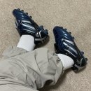 유투디케이 | 내돈내산 최근 소비일기 (+6개월 사용후기)