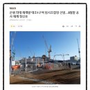 대조-009 이미지