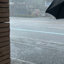 도그라움 이미지