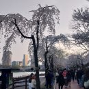 송파나루공원(석촌호수) 이미지