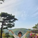 금강사 - 관악구 봉천로 218 | 금강사