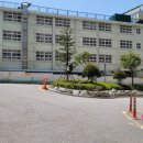 봉학병설유치원 이미지