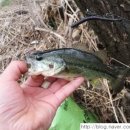 청도천7 이미지