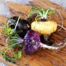 마카 트레이닝 이미지