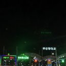[부산 돌게탕 맛집] 남포동 새옹지마,밤 11시에 만난 인생 맛집 후기 (+몽실이와 부산 여행)