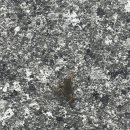 산내 청룡폭포 화장실 이미지