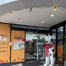 주정차063 이미지