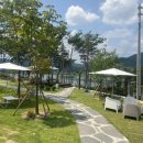 카페그로브
