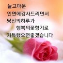 🌷왕인박사 벚꽃축제 3.25 ~ 4.2까지 🌷 이미지