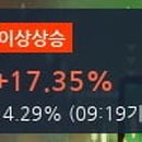 11500-19-31-09 이미지