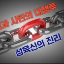 김정대 Daum카페