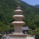 ★1111(1132). 표충사삼층석탑 출토 개수탑기비(改修塔記碑)의 보물(寶物) 지정 경위와 무이거부(無二巨芙) 스님(일부) 이미지