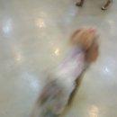 개 키우는 언니 이미지