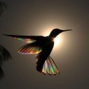 해피팜농장 이미지