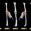 루원 센트럴 동물의료센터 이미지