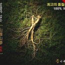 웅이네농장 이미지