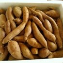 삼부자농장 이미지