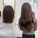 비비붙임머리 | 친구랑 케어받은 대구 비비붙임머리 후기💇‍♀️