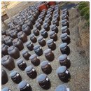 장한말길 이미지