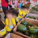 도솔어린이집 이미지