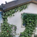 경산진량공단우체국 이미지